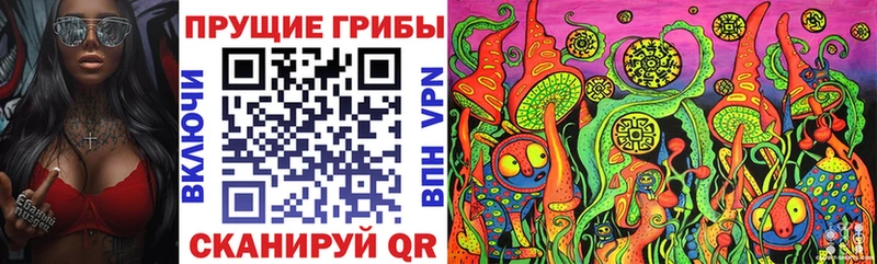 Галлюциногенные грибы Psilocybine cubensis  Купить  Невельск 